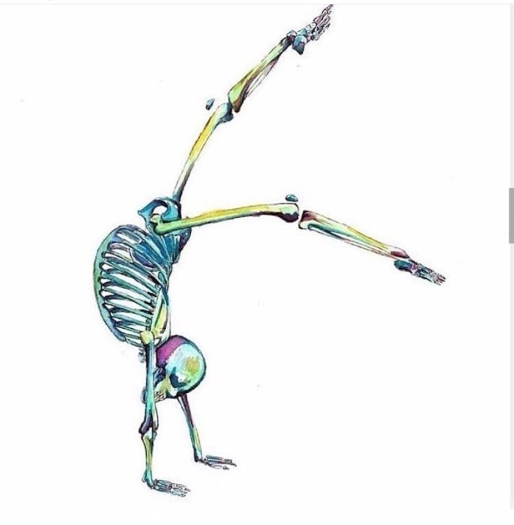 Physio Motus