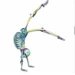 Physio Motus